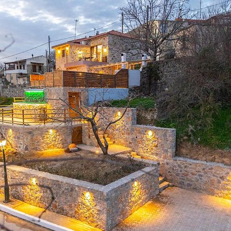 Lasithi Luxury Villa Mesa Lasithi Extérieur photo
