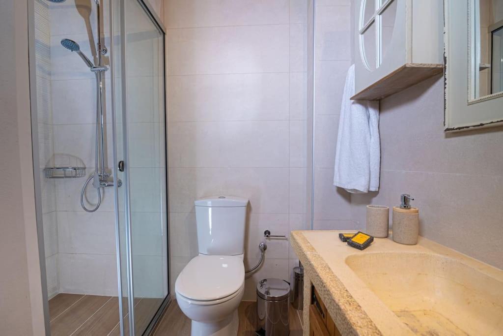 Lasithi Luxury Villa Mesa Lasithi Extérieur photo
